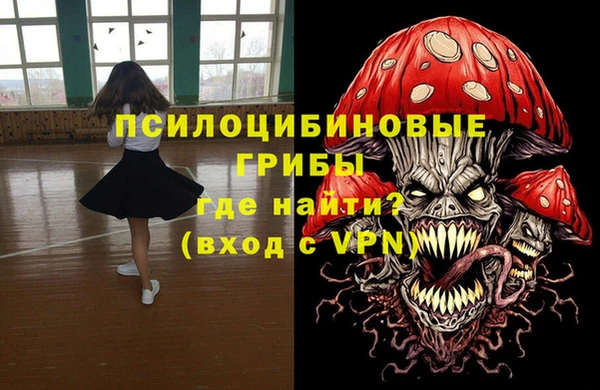 гашик Кодинск