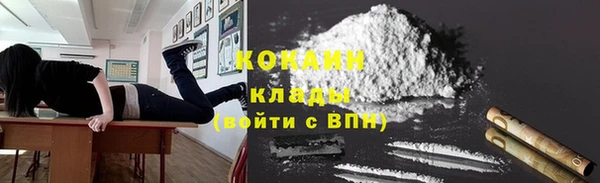 мдпв Коряжма