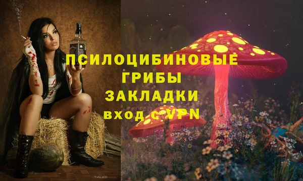 гашик Кодинск