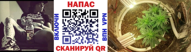 Конопля SATIVA & INDICA  купить  сайты  kraken как зайти  Томари 
